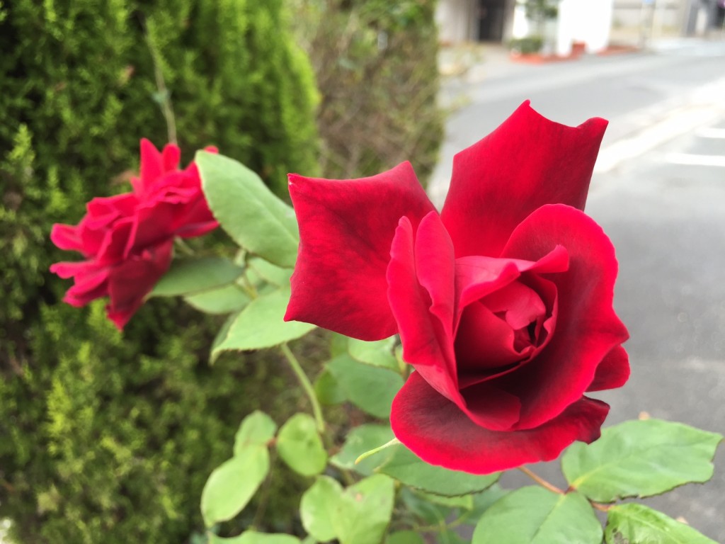 01-08