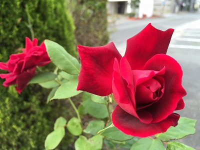 08-02s