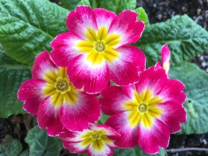 IMG_9371
