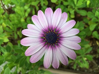 image081