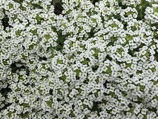 image082
