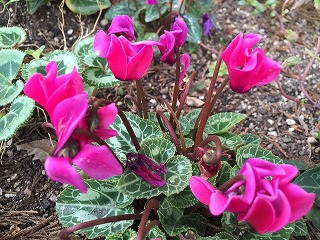 image083